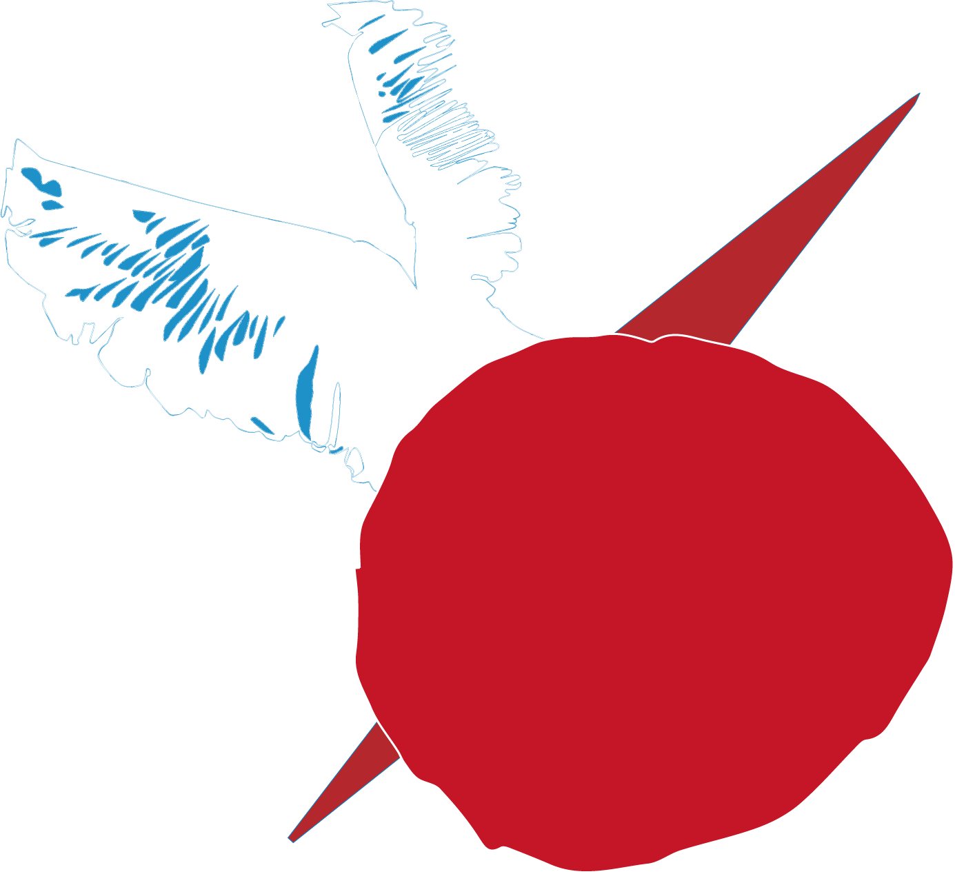 rocco le flem - brieuc carpentier - thibault delatre